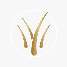 LOGO MAJESTIC 1
