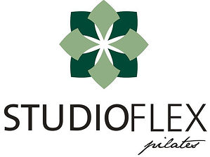 LOGO STUDIOFLEX 1