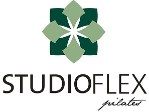 LOGO STUDIOFLEX 2